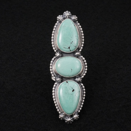 Darrin Livingston Turquoise & Sterling Silver Ring