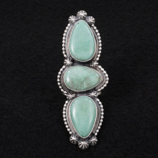 Darrin Livingston Turquoise & Sterling Silver Ring