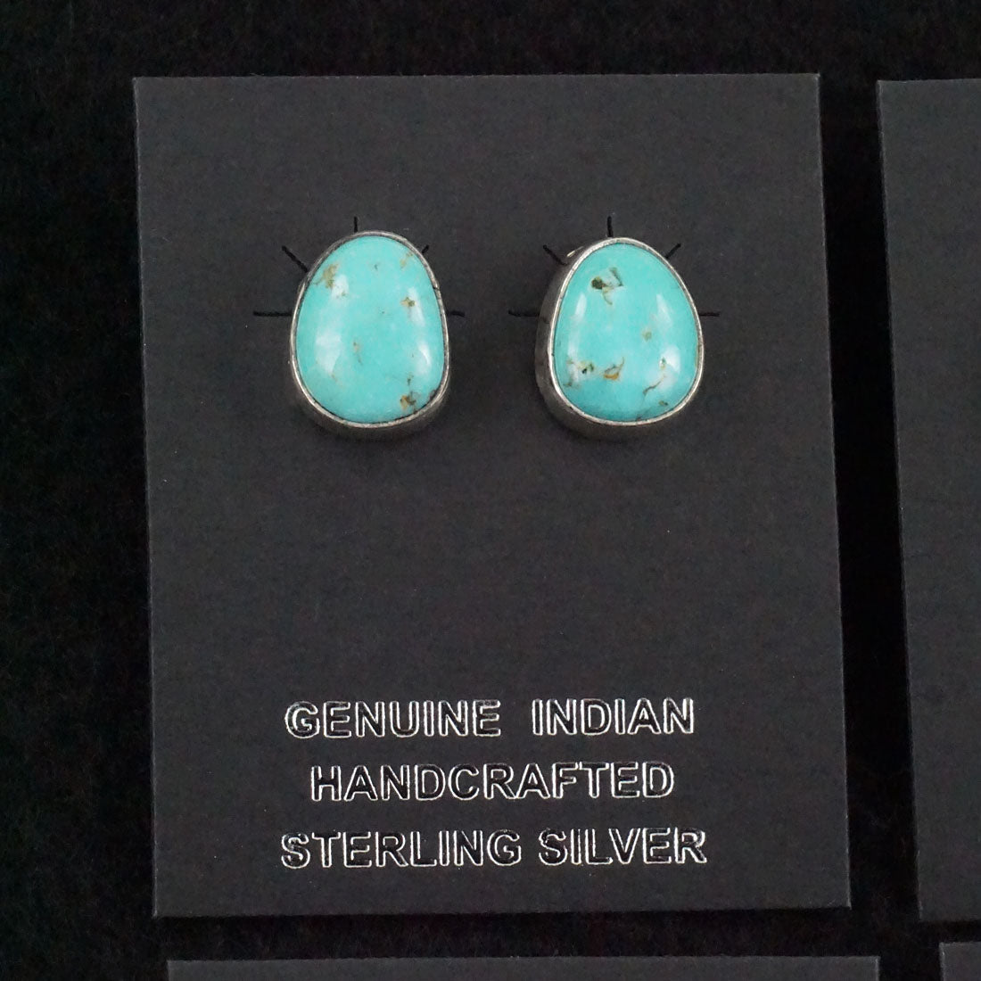 Marco Begaye Turquoise & Sterling Silver Earrings