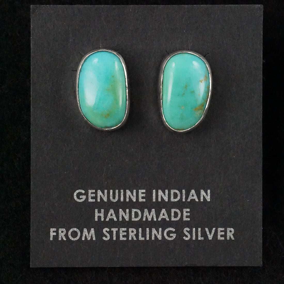 Marco Begaye Turquoise & Sterling Silver Earrings