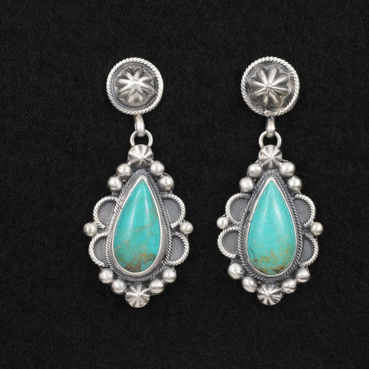 Darrin Livingston Turquoise & Sterling Silver Earrings