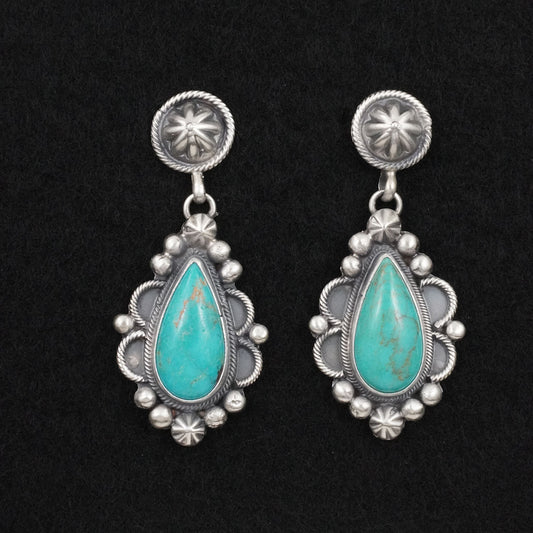 Darrin Livingston Turquoise & Sterling Silver Earrings