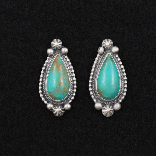 Darrin Livingston Turquoise & Sterling Silver Earrings
