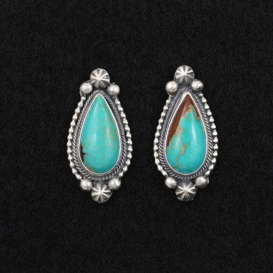 Darrin Livingston Turquoise & Sterling Silver Earrings