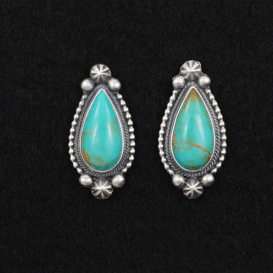 Darrin Livingston Turquoise & Sterling Silver Earrings