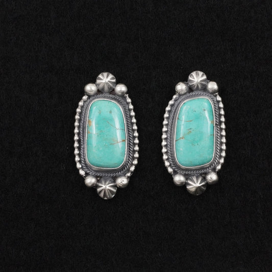 Darrin Livingston Turquoise & Sterling Silver Earrings