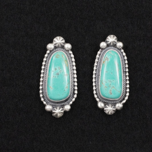 Darrin Livingston Turquoise & Sterling Silver Earrings