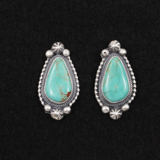 Darrin Livingston Turquoise & Sterling Silver Earrings