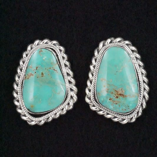 Sharon McCarthy Turquoise & Sterling Silver Earrings