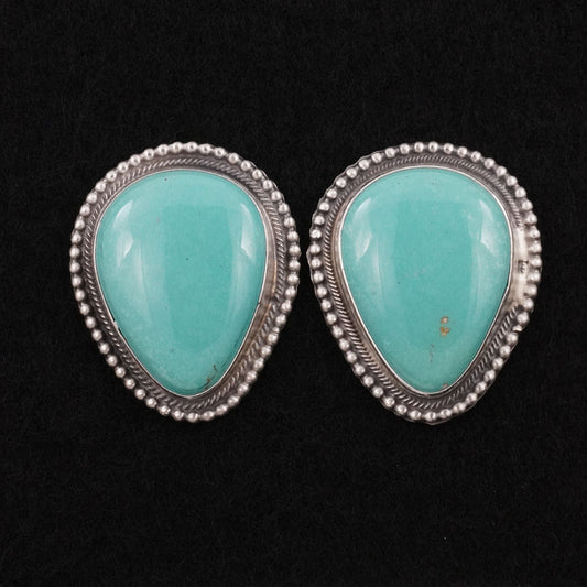 Thomas Francisco Turquoise & Sterling Silver Earrings