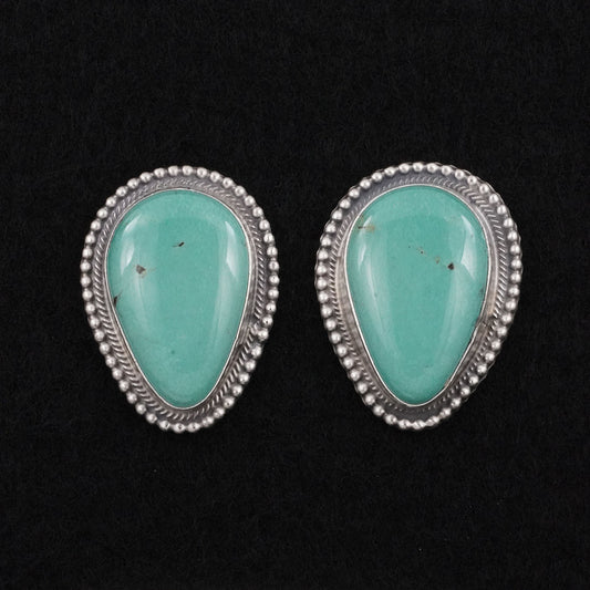 Thomas Francisco Turquoise & Sterling Silver Earrings