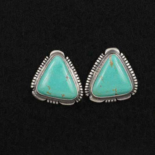 Thomas Francisco Turquoise & Sterling Silver Earrings
