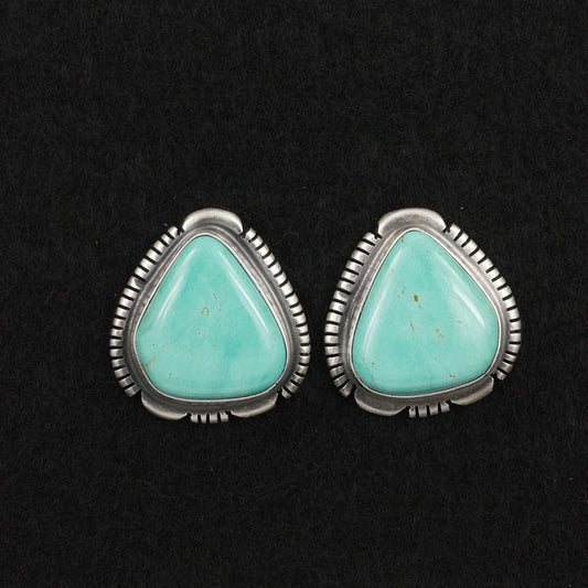 Thomas Francisco Turquoise & Sterling Silver Earrings