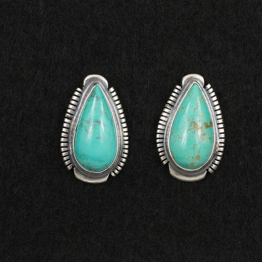 Thomas Francisco Turquoise & Sterling Silver Earrings