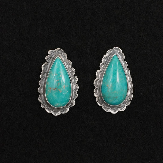 Carlos Francisco Turquoise & Sterling Silver Earrings