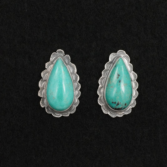 Carlos Francisco Turquoise & Sterling Silver Earrings