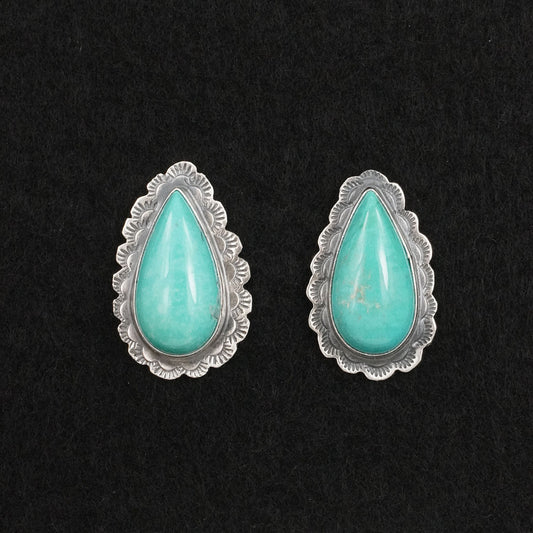 Carlos Francisco Turquoise & Sterling Silver Earrings