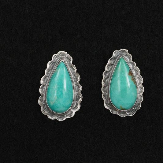 Carlos Francisco Turquoise & Sterling Silver Earrings