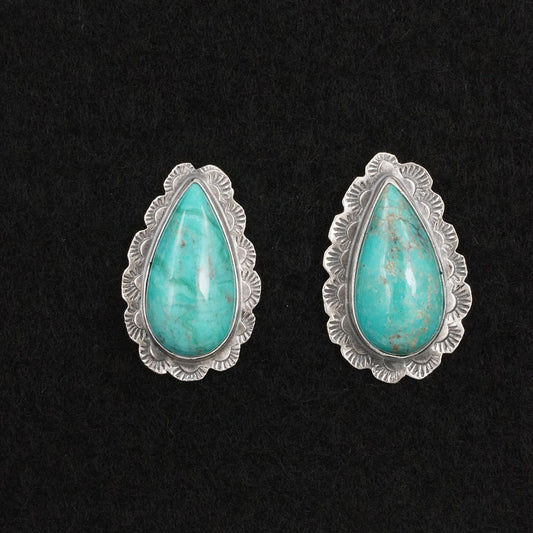 Carlos Francisco Turquoise & Sterling Silver Earrings