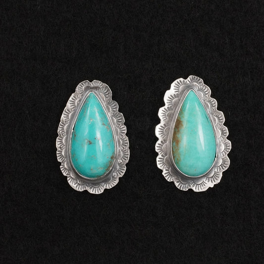 Carlos Francisco Turquoise & Sterling Silver Earrings