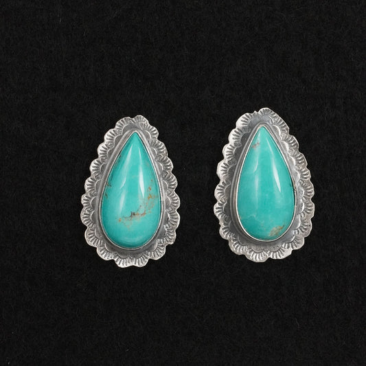 Carlos Francisco Turquoise & Sterling Silver Earrings