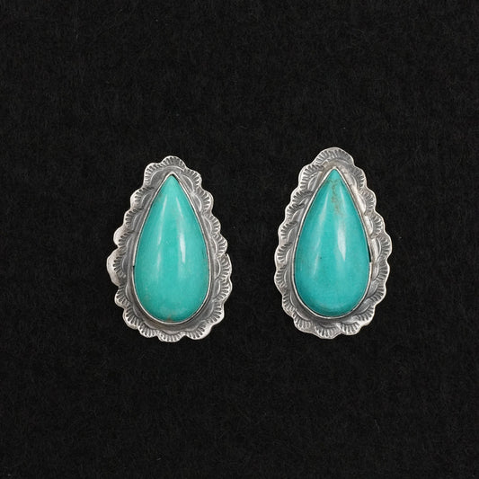 Carlos Francisco Turquoise & Sterling Silver Earrings