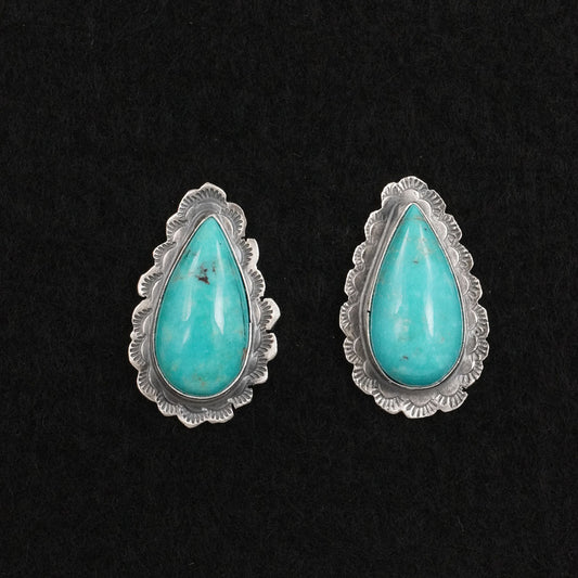 Carlos Francisco Turquoise & Sterling Silver Earrings