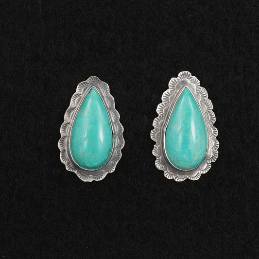 Carlos Francisco Turquoise & Sterling Silver Earrings