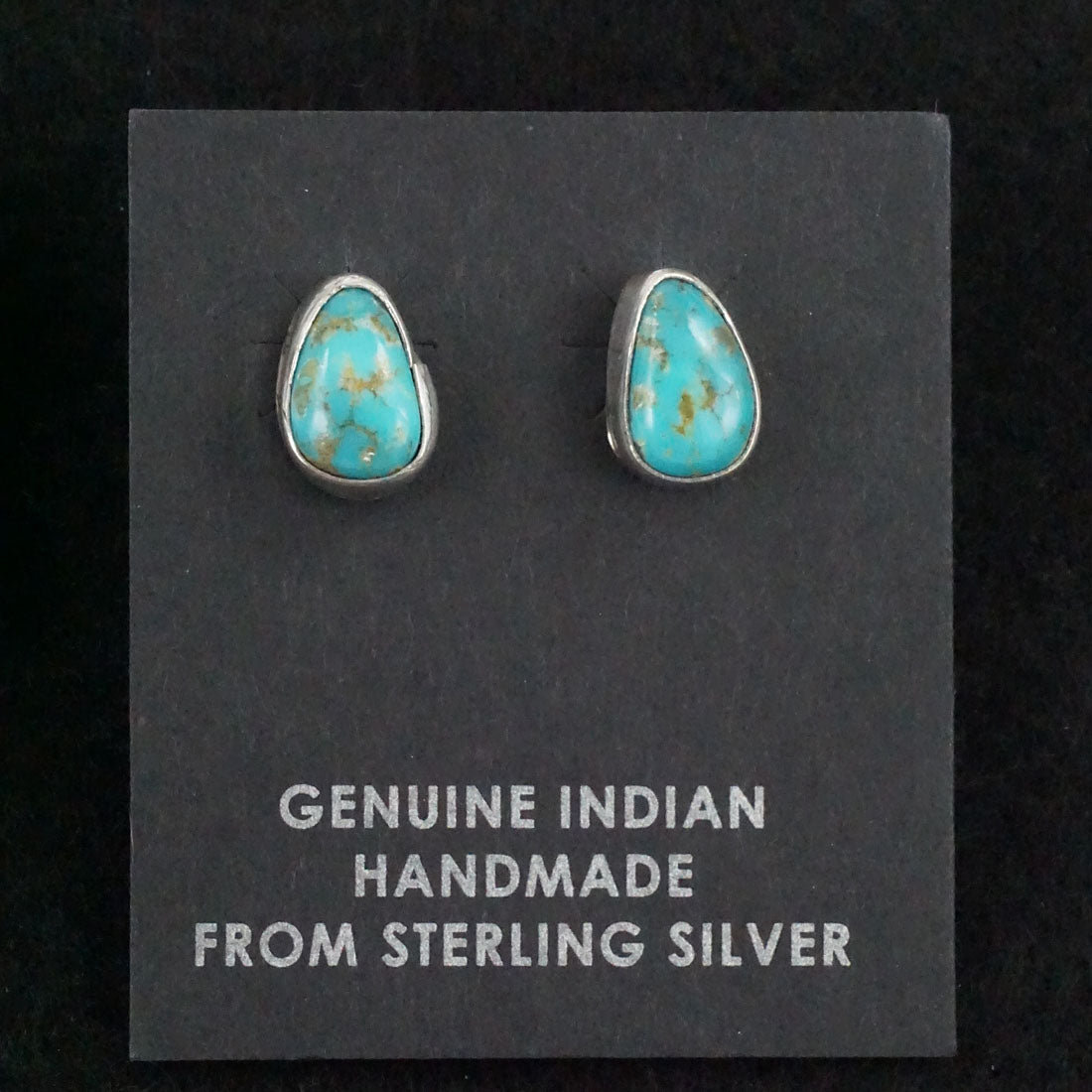 Marco Begaye Turquoise & Sterling Silver Earrings