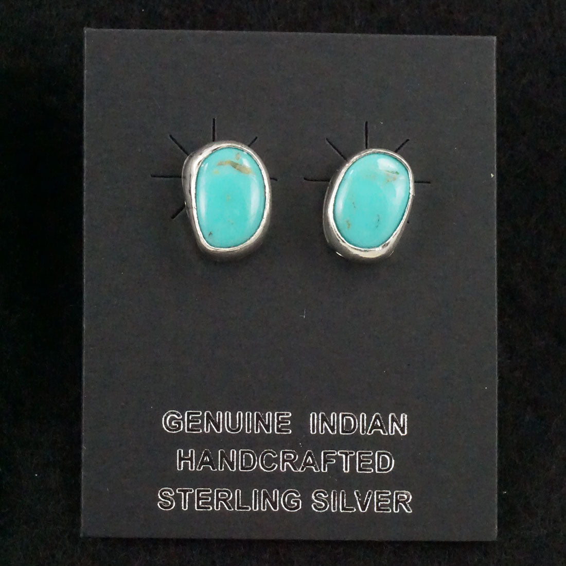 Marco Begaye Turquoise & Sterling Silver Earrings