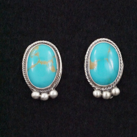 Kathleen Livingston Turquoise & Sterling Silver Earrings