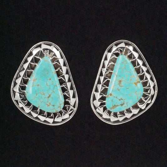 Sharon McCarthy Turquoise & Sterling Silver Earrings