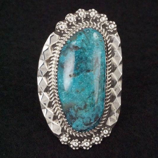 Leslie Nez Turquoise & Sterling Silver Ring Size 9