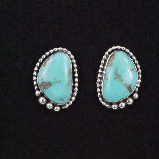 Betty Tom Turquoise & Sterling Silver Earrings