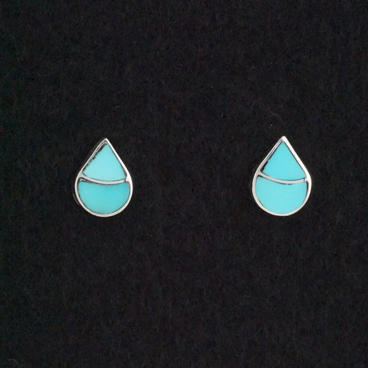 Lynette Johnson Turquoise & Sterling Silver Earrings