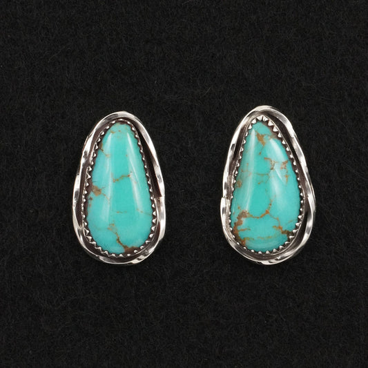 Ernest Hawthorne Turquoise & Sterling Silver Earrings