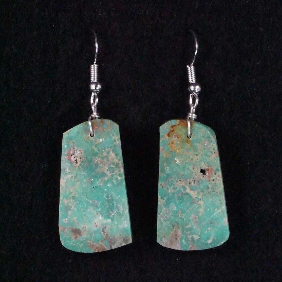 Tammy Nolcot Turquoise & Sterling Silver Earrings