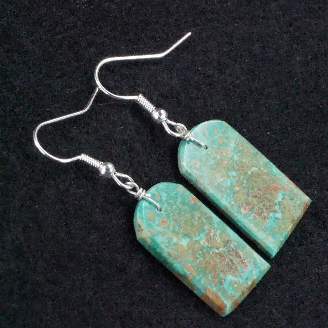 Tammy Nolcot Turquoise & Sterling Silver Earrings