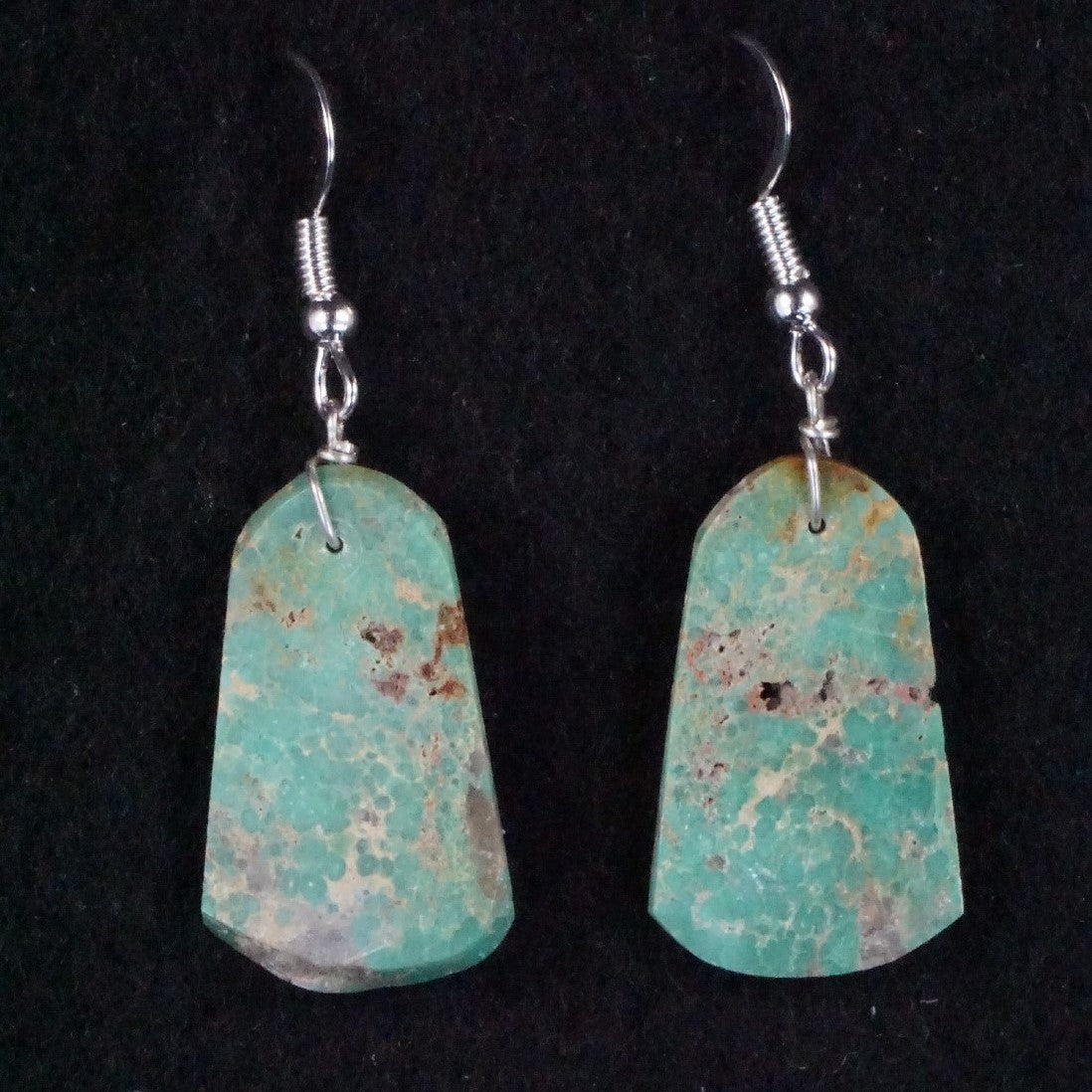 Tammy Nolcot Turquoise & Sterling Silver Earrings