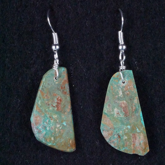 Tammy Nolcot Turquoise & Sterling Silver Earrings