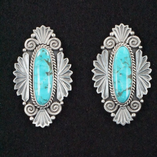 Michael Calladitto Turquoise & Sterling Silver Earrings